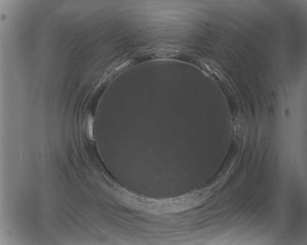 X0000066010046200603061308