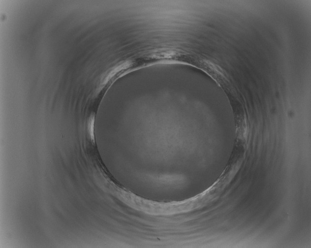 X0000066010047200603061308