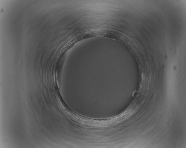 X0000066010048200603061308