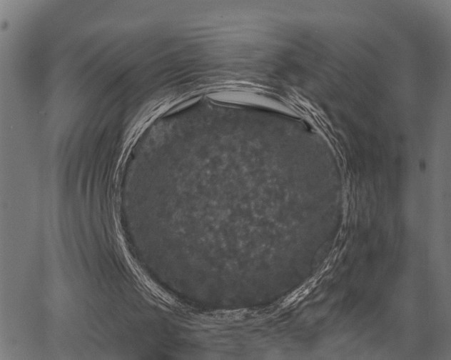 X0000066010049200603061308