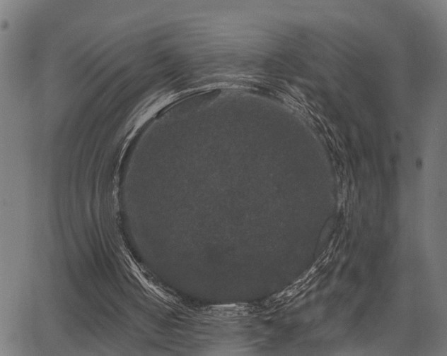 X0000066010050200603061308