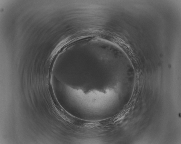 X0000066010051200603061308