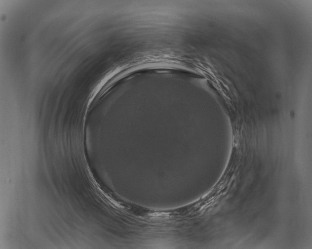 X0000066010052200603061308