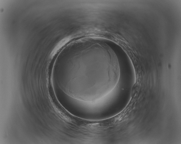 X0000066010054200603061308