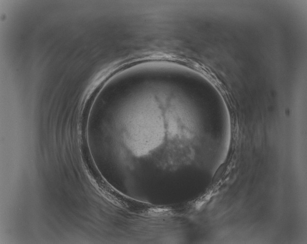 X0000066010055200603061308