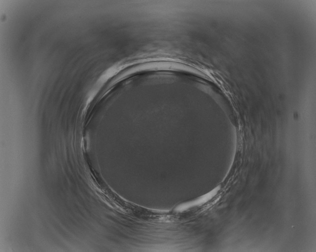 X0000066010056200603061308