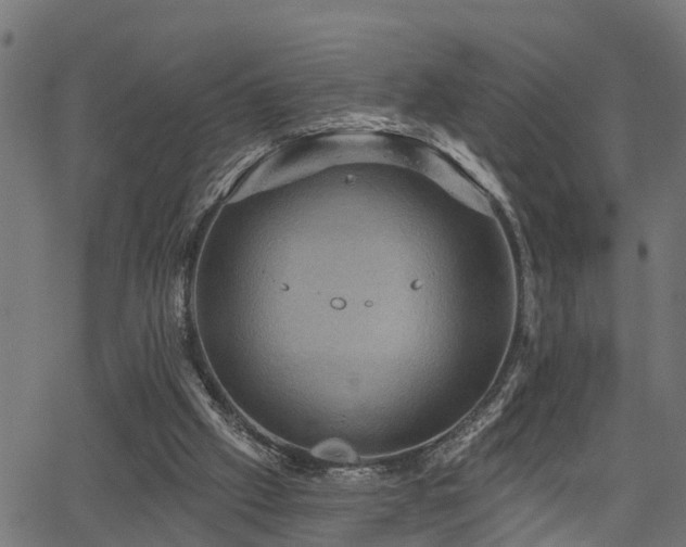 X0000066010057200603061308