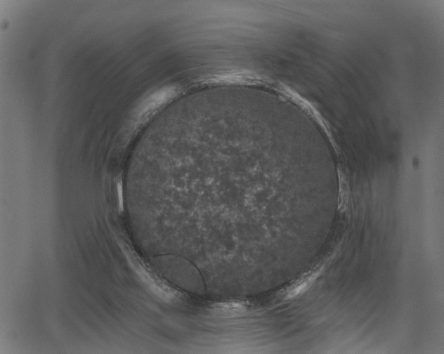 X0000066010061200603061308