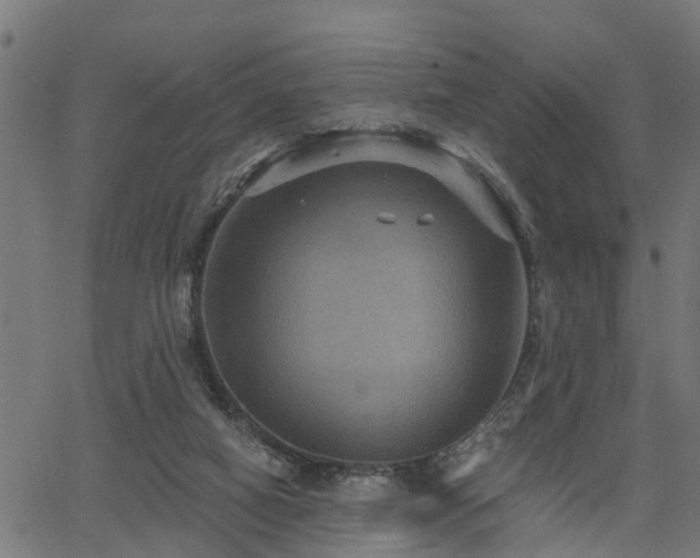 X0000066010066200603061308