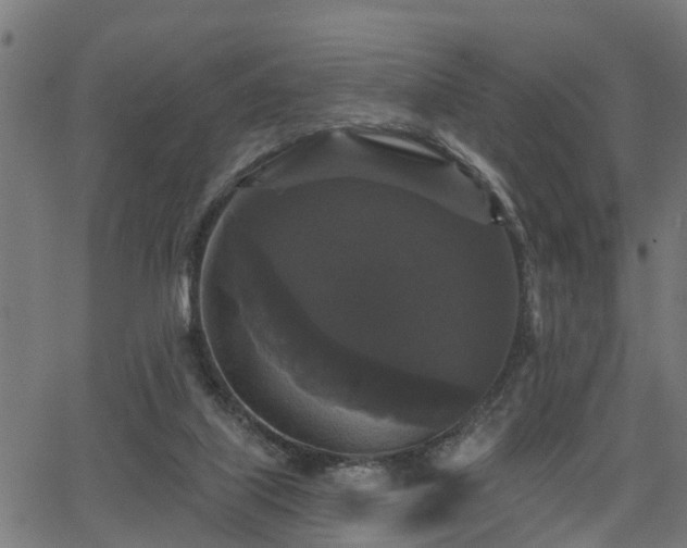 X0000066010067200603061308