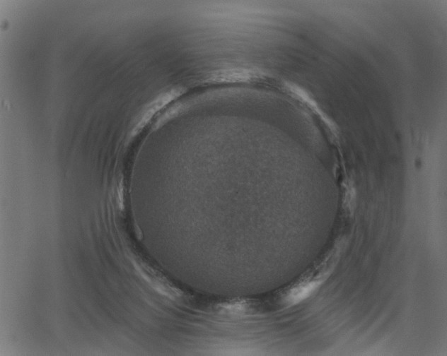 X0000066010068200603061308