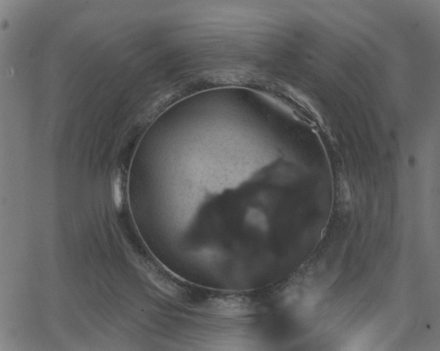 X0000066010069200603061308