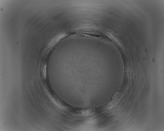 X0000066010070200603061308