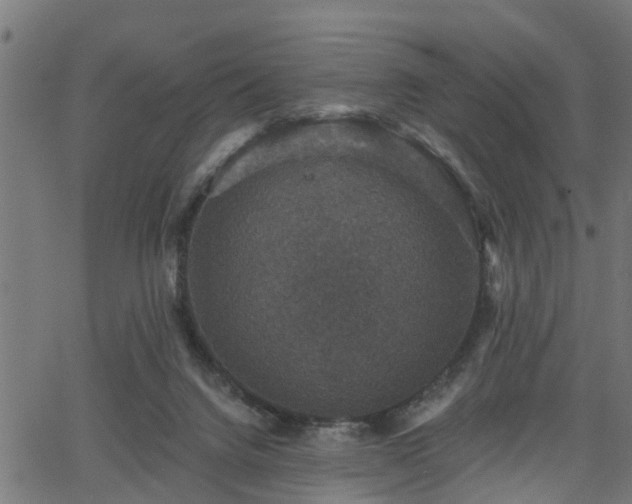 X0000066010072200603061308