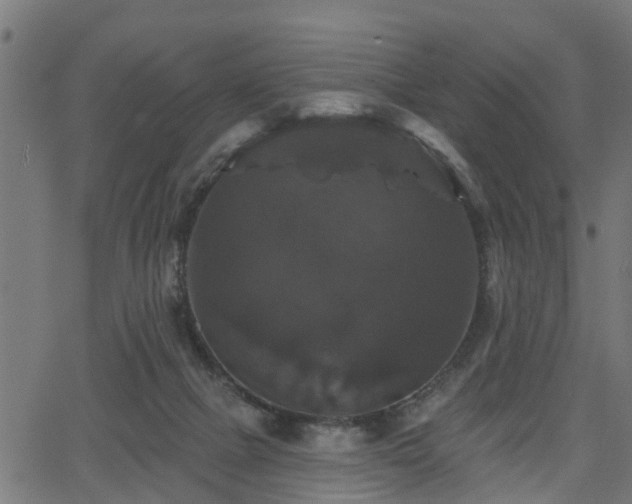 X0000066010073200603061308