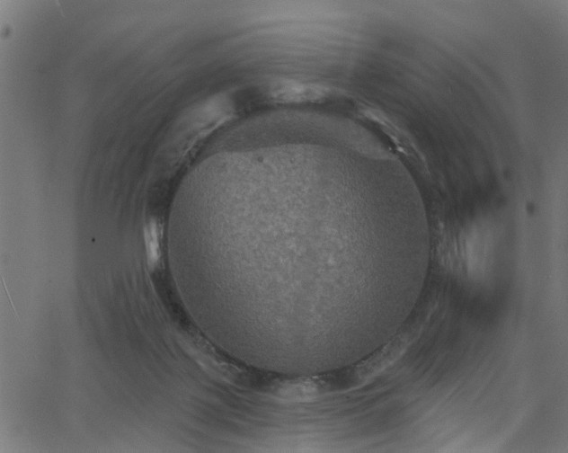 X0000066010075200603061308