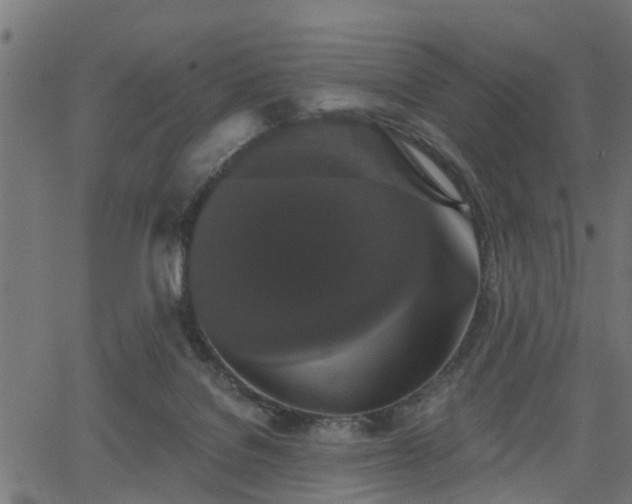 X0000066010076200603061308