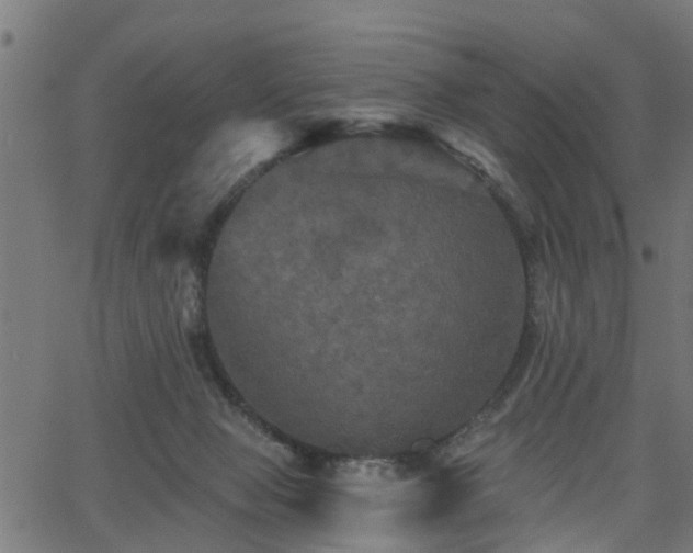 X0000066010077200603061308