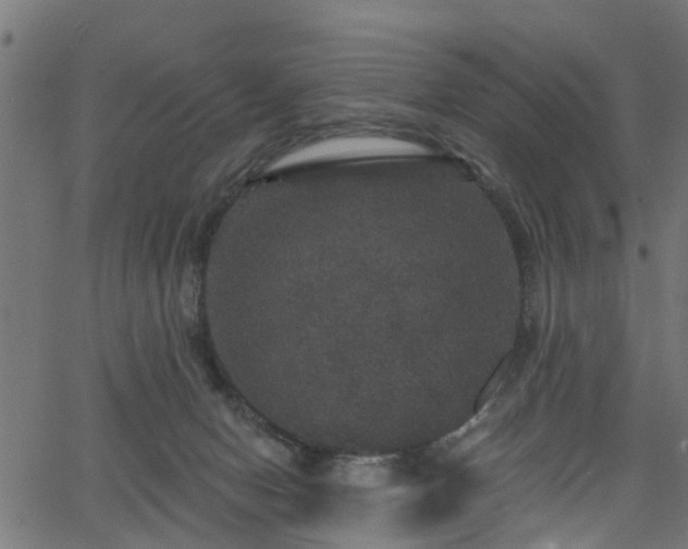 X0000066010078200603061308