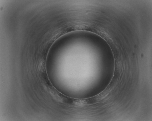 X0000066010079200603061308