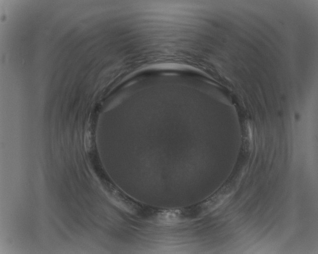 X0000066010080200603061308