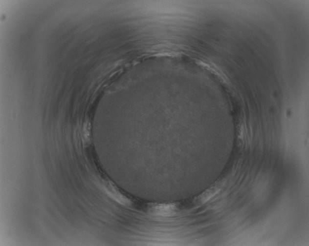 X0000066010081200603061308