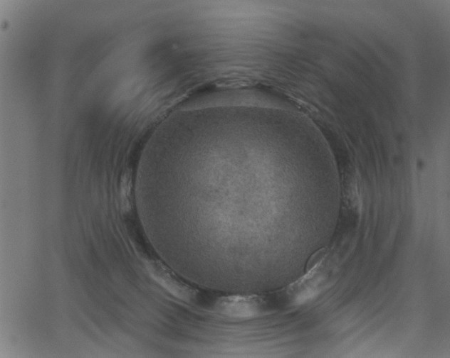 X0000066010082200603061308