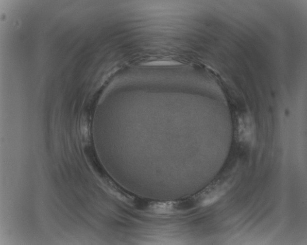 X0000066010084200603061308