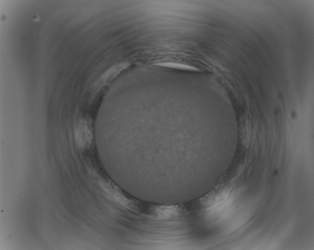 X0000066010085200603061308