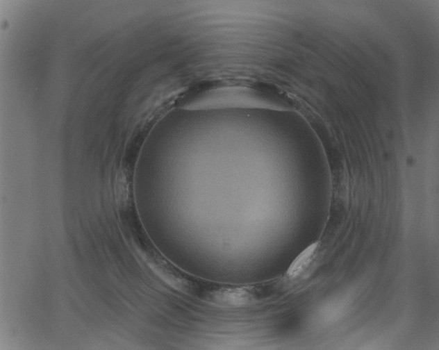 X0000066010086200603061308