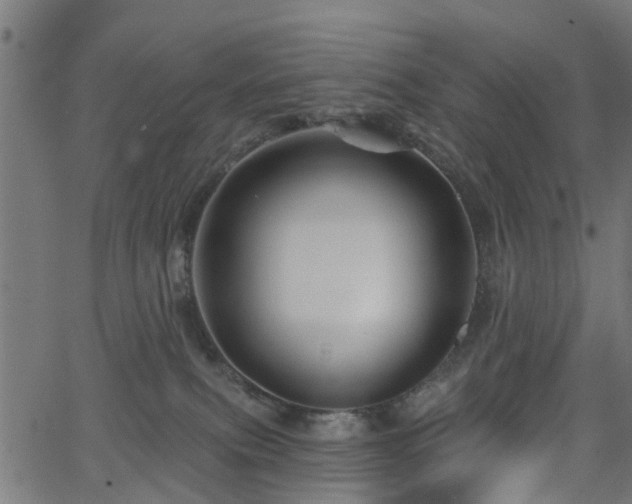 X0000066010087200603061308