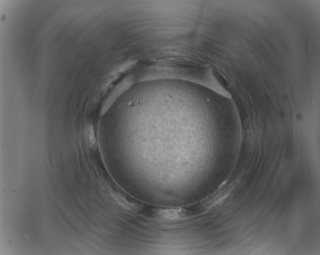 X0000066010089200603061308