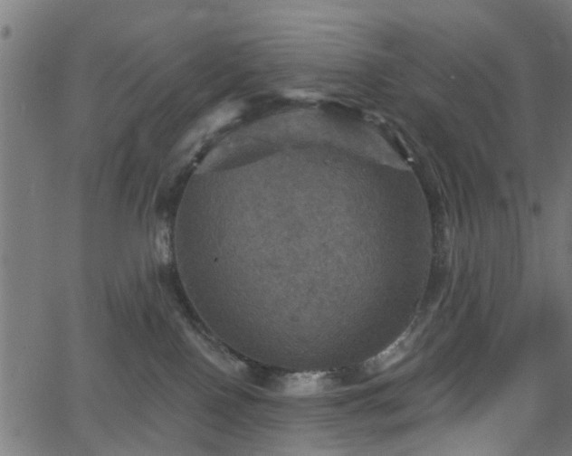 X0000066010090200603061308