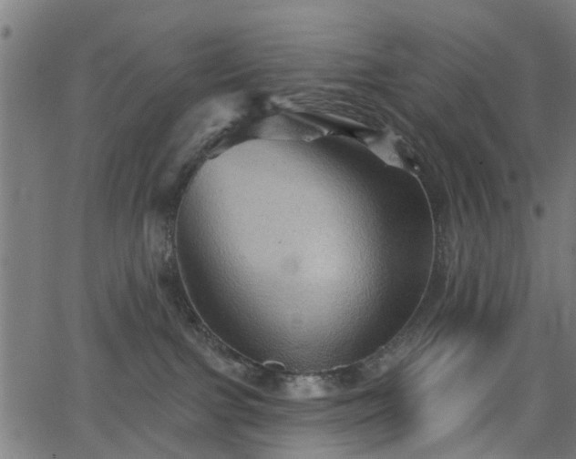 X0000066010091200603061308