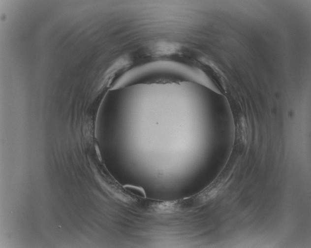 X0000066010092200603061308