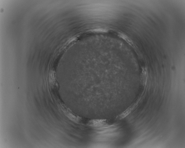 X0000066010093200603061308