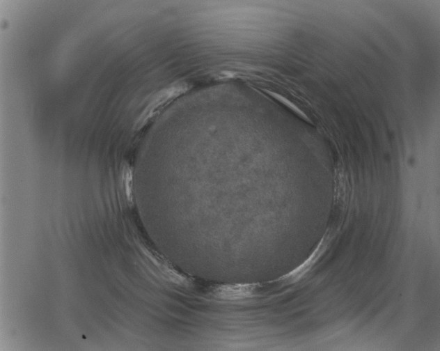 X0000066010094200603061308