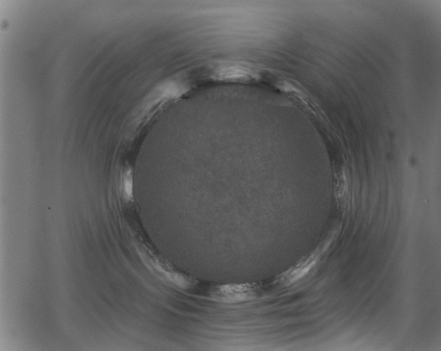 X0000066010095200603061308