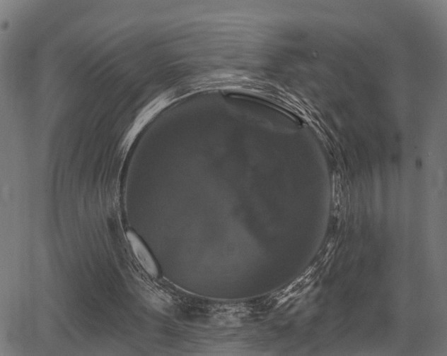 X0000066010099200603061307