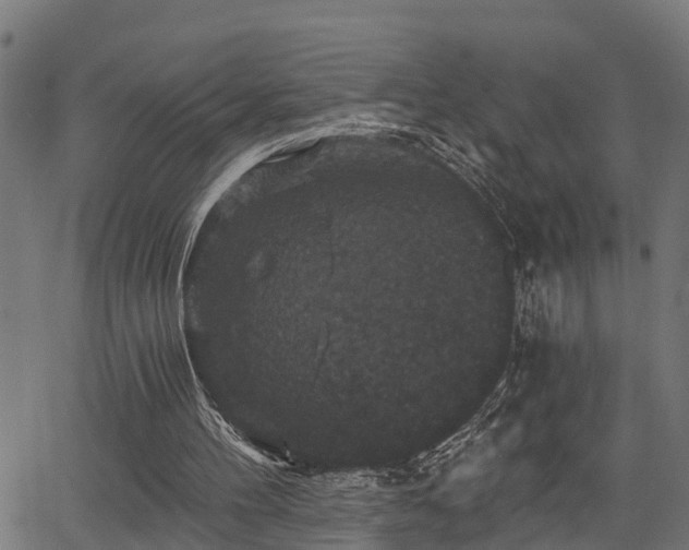 X0000066010100200603061307