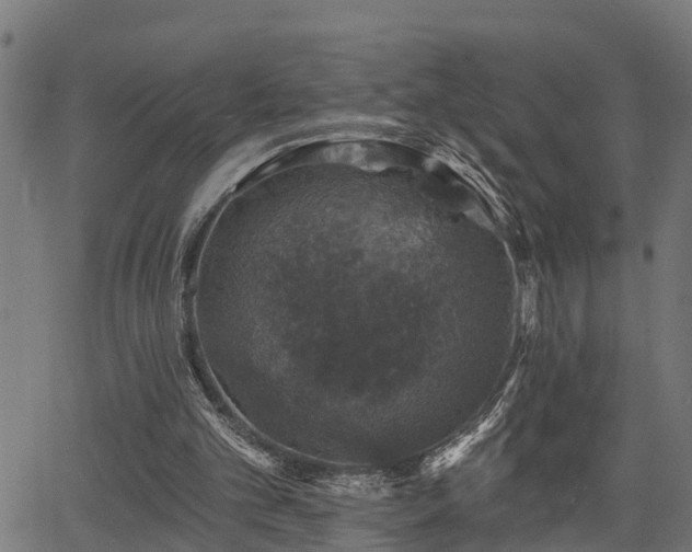 X0000066010101200603061307