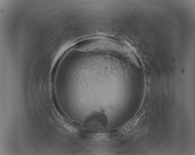 X0000066010102200603061307