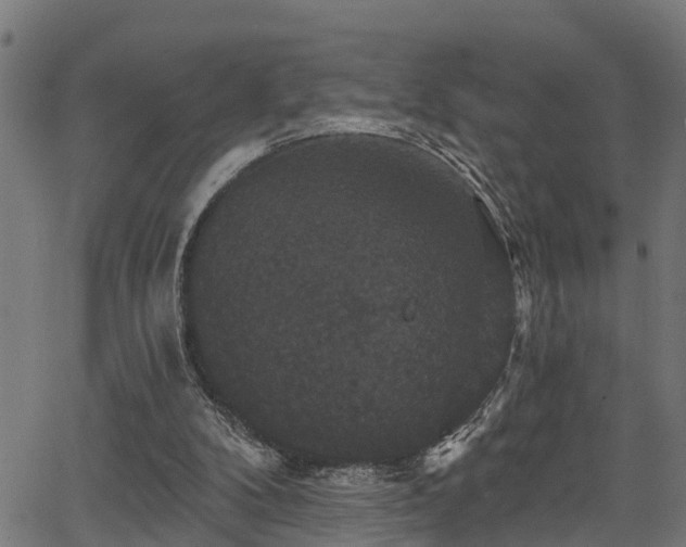 X0000066010104200603061307