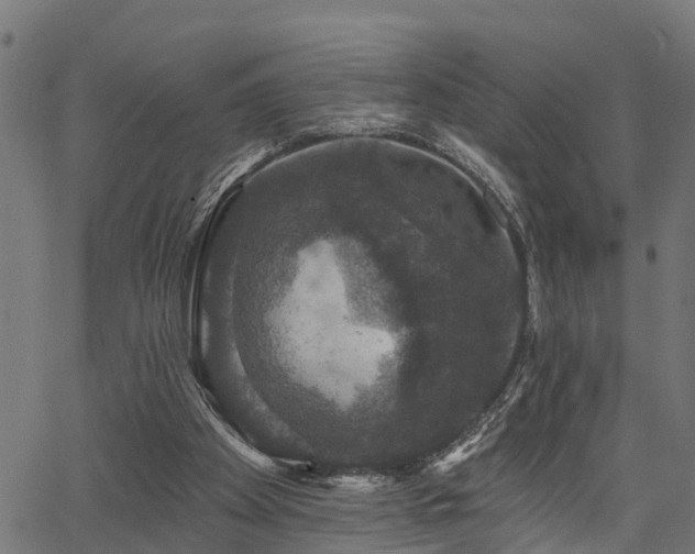 X0000066010105200603061307