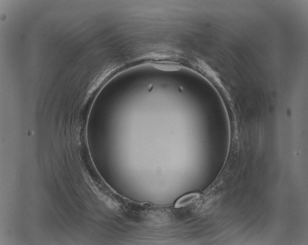 X0000066010106200603061307