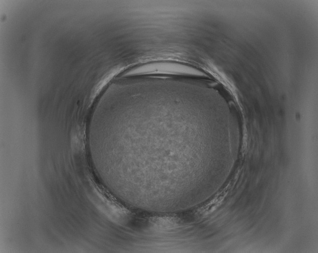 X0000066010107200603061307