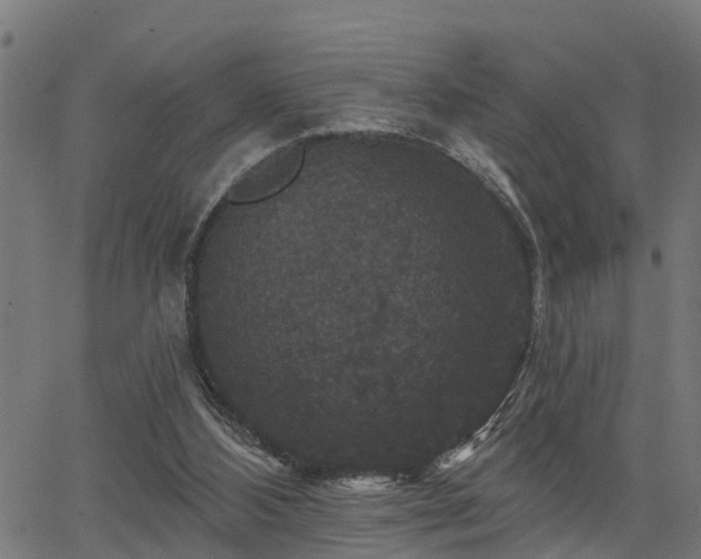 X0000066010108200603061307