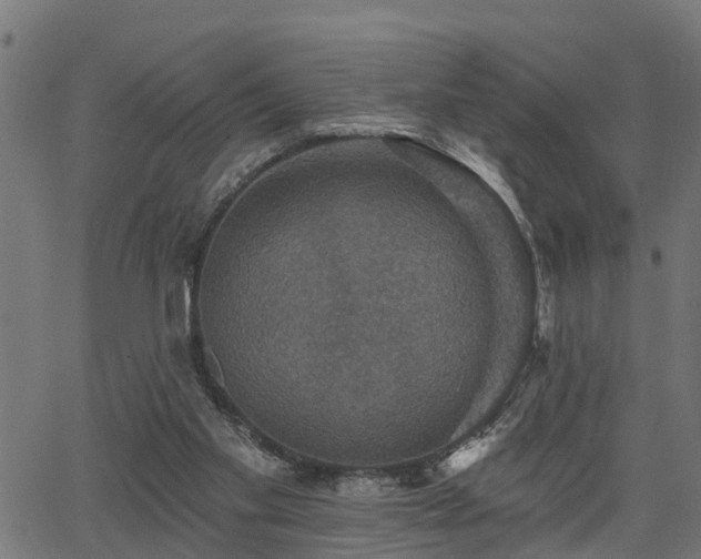 X0000066010109200603061307