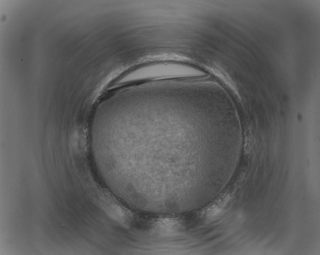 X0000066010111200603061307