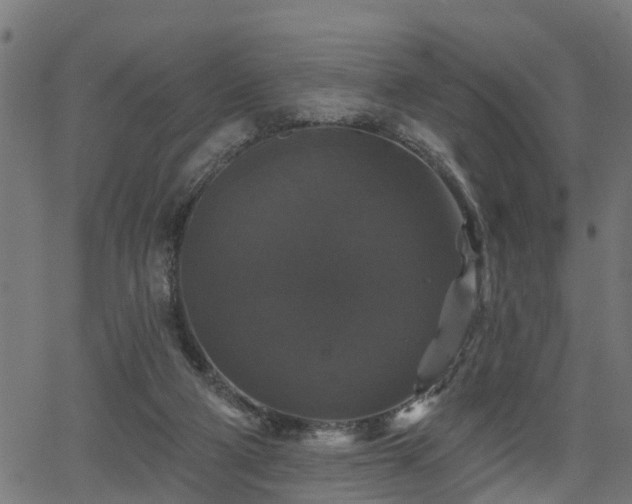 X0000066010114200603061307